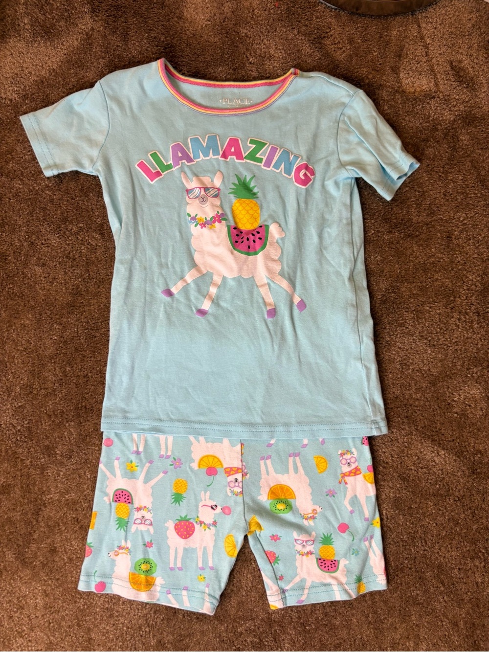 Place Light Blue "LLAMAZING" Llama Pajama Set with Pink & Yellow Accents